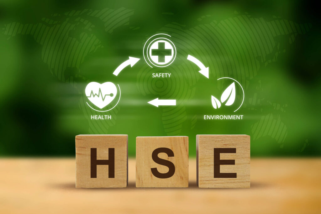 HSEco portfolio skatsite